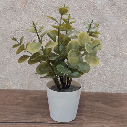 Cvet u saksiji - SUCCULENT 0038-38A - N38 slika 1