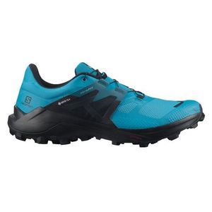 Salomon wildcross 2 GTX