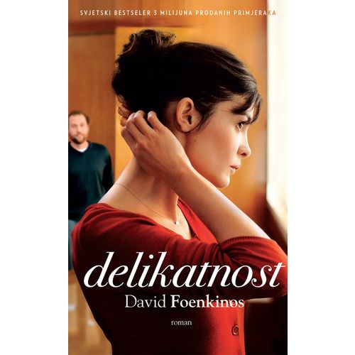 Delikatnost, David Foenkinos slika 1