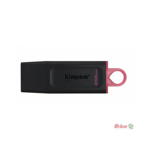 Kingston DTX/256GB 256GB USB Flash Drive, USB 3.2 Gen.1, DataTraveler Exodia slika 1