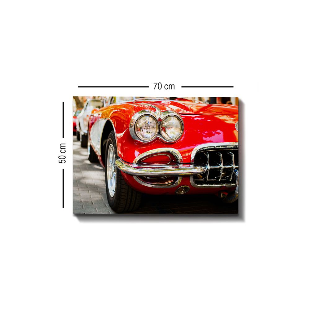 Dekorativna Višebojna Kanvas Slika (50 x 70 cm) - Model 233 slika 3