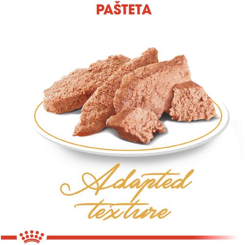 ROYAL CANIN FBN Persian, potpuna i uravnotežena mokra hrana za mačke, pašteta, specijalno za odrasle perzijske mačke starije od 12 mjeseci, 12x85 g slika 8