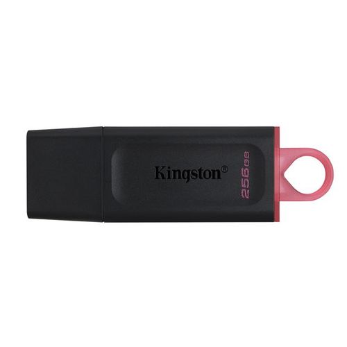 USB Memorija Kingston DTX 256GB - Brzina i Pouzdanost slika 1