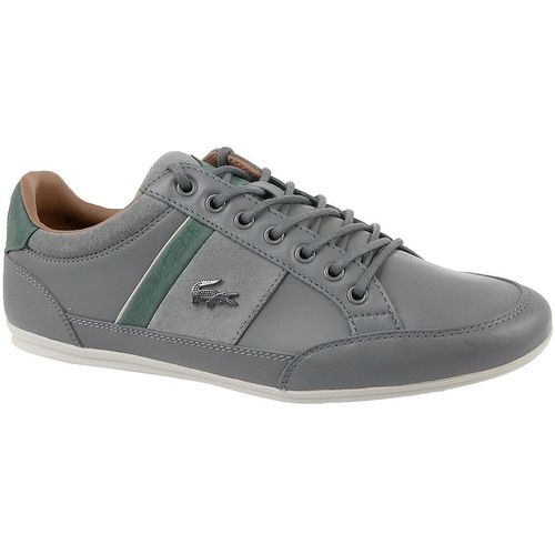 Lacoste chaymon 417 cam0070248 slika 1