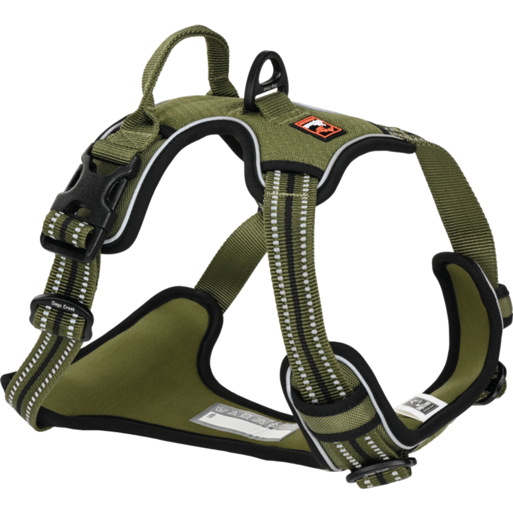 Dogs Creek oprsnica za pse Pathfinder, zelena slika 1