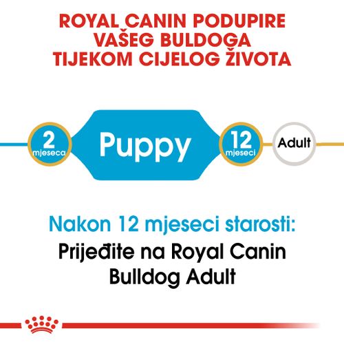 ROYAL CANIN BHN Bulldog Puppy, potpuna hrana specijalno prilagođena potrebama buldoga tijekom rasta (do12 mj.), 3 kg slika 8