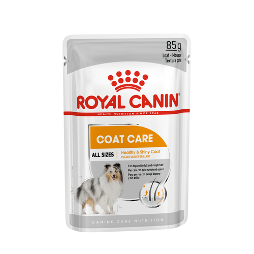 Royal Canin CCN Coat Care Loaf, potpuna hrana za odrasle pse, 12x85 g slika 1