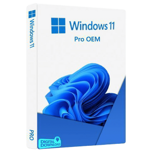 Software Windows 11 Pro 64bit ENG OEM DVD 1PC FQC-10528