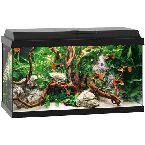 JUWEL Primo 60 Aquarium Black Int slika 1