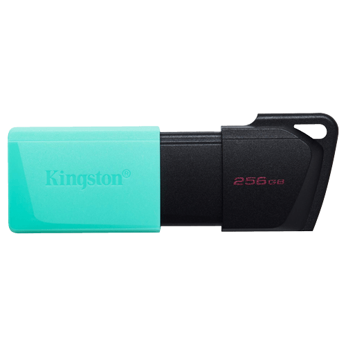 USB memorija KINGSTON DTXM 256GB slika 1