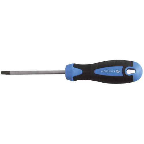 Högert Odvijač torx T10, 100 mm, S2  slika 1