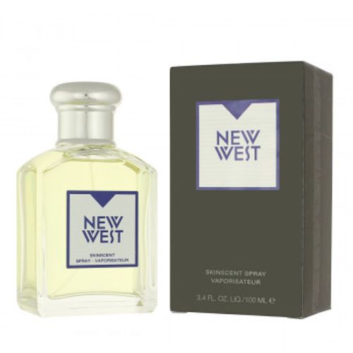 Aramis New West Eau De Toilette 100 ml (man) slika 3