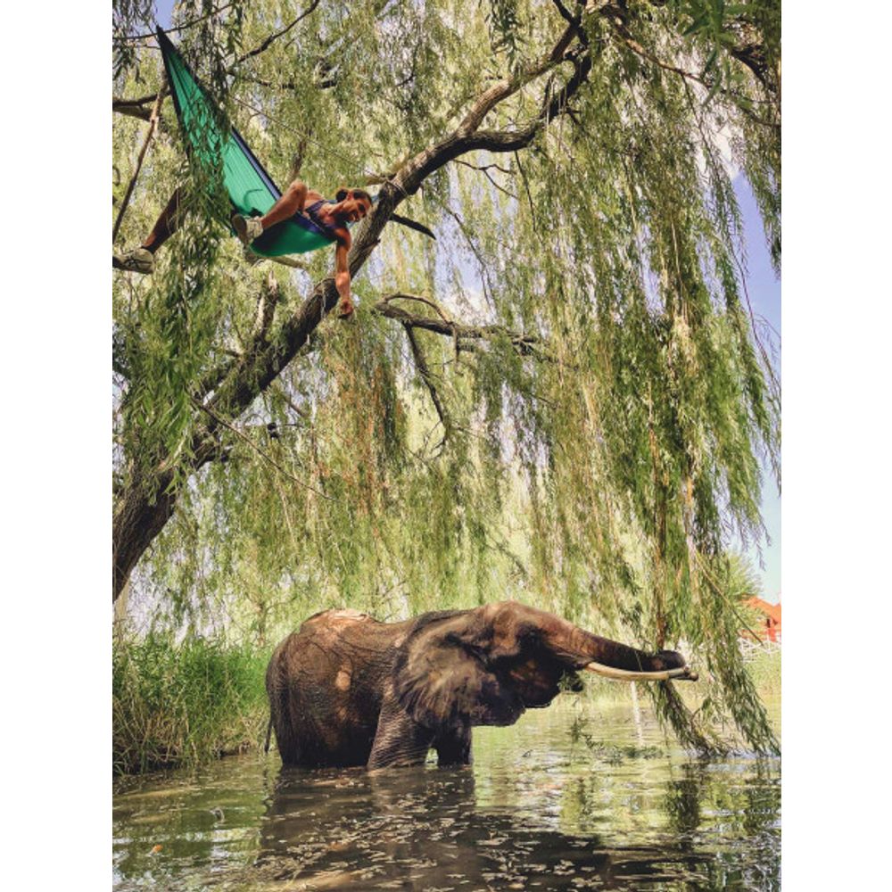 Amazonas Viseća ležaljka Adventure Hammock, Ice-Blue slika 10