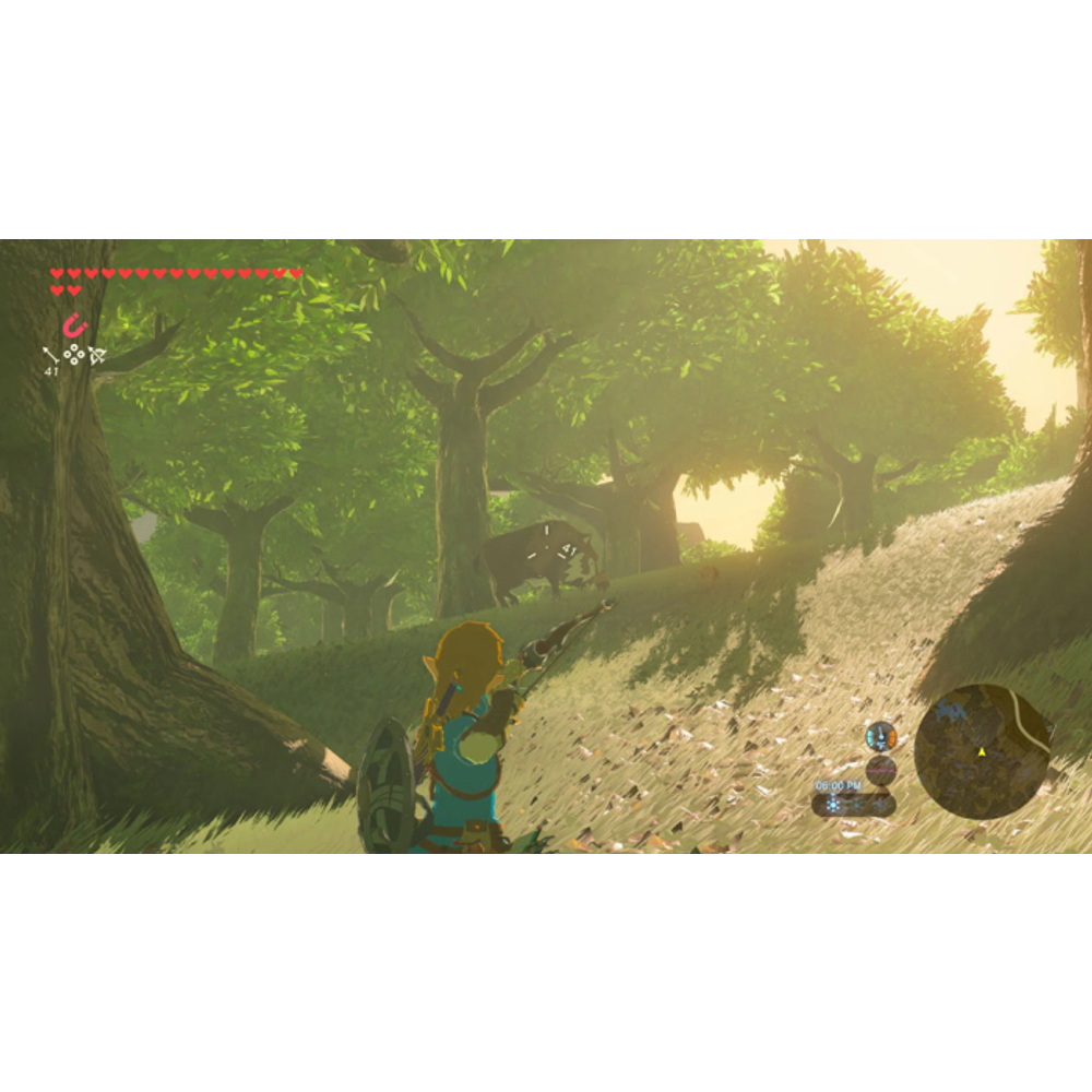 The Legend of Zelda: Breath Of The Wild Switch 2 slika 3