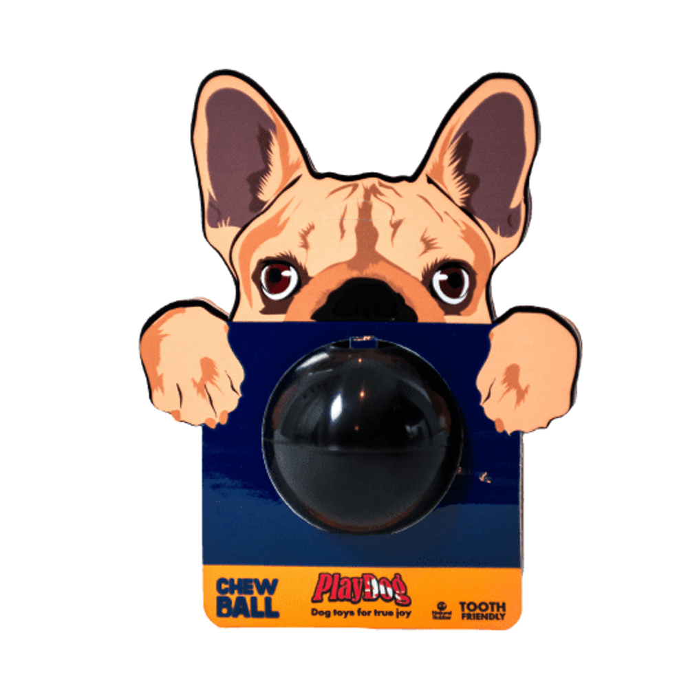 PlayDog igračka za psa Chew Ball slika 2