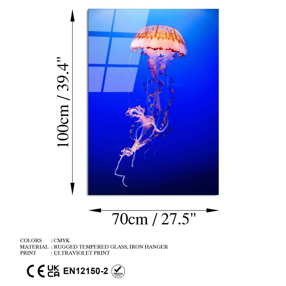 UV-154 Dekorativna Slika na Kaljenom Staklu, 70 x 100 cm, Višebojna slika 8