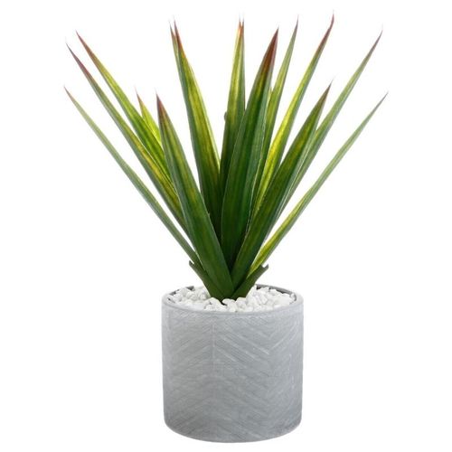 Atmosphera aloe vera u saksiji 44x47cm pe/dolomite/kamen siva slika 1