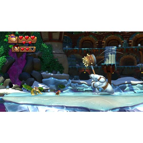 SWITCH DONKEY KONG COUNTRY FREEZE slika 6