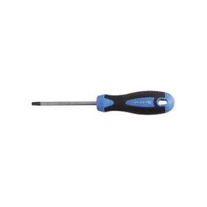 Högert Odvijač torx T30, 100 mm, S2 