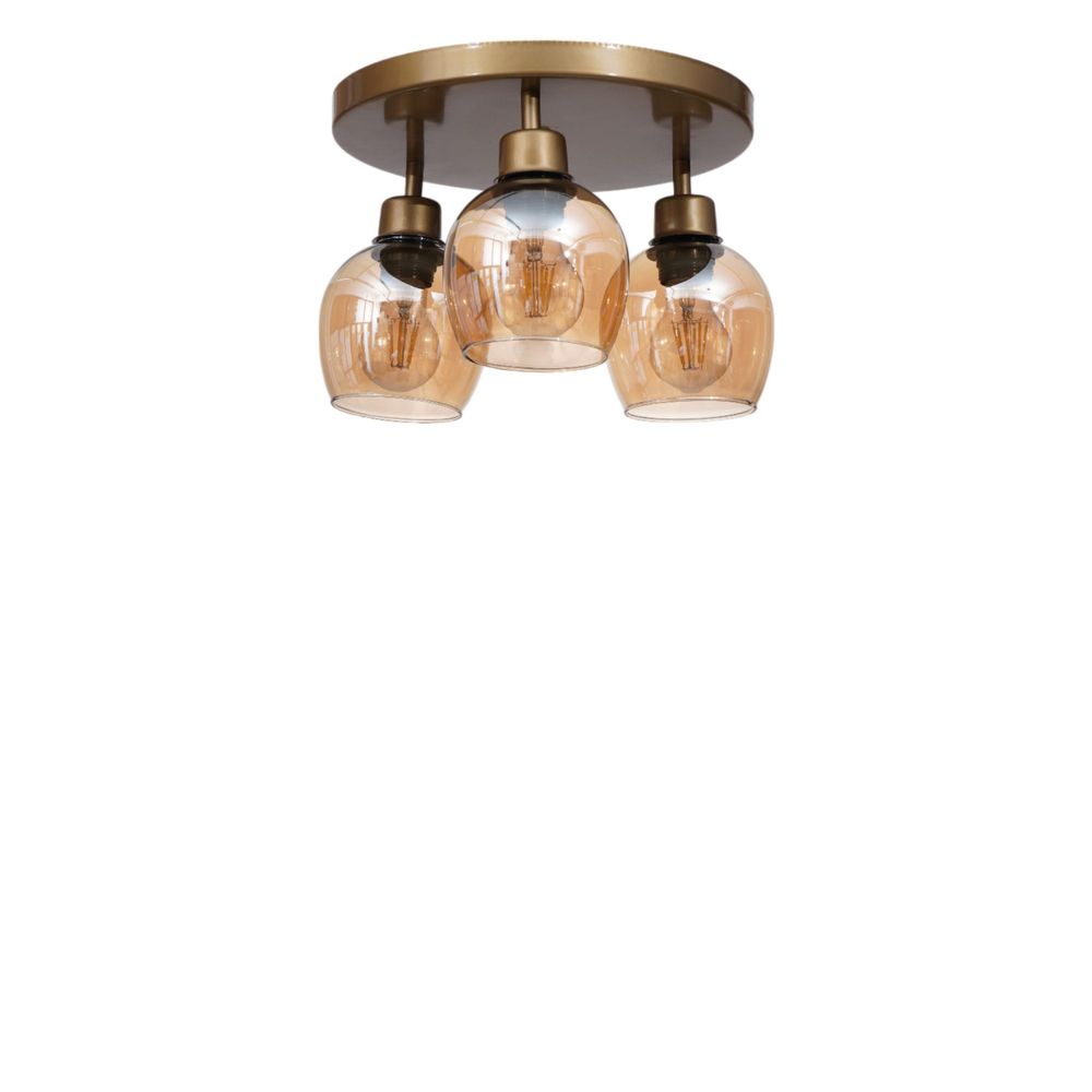 Opviq Luster 679, Med, Zlatna slika 3