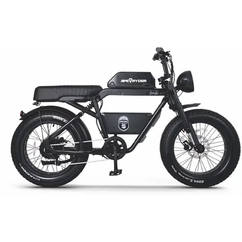Ape Ryder BONOBO (black) električni bicikl slika 1