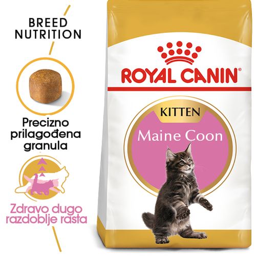 ROYAL CANIN FBN Maine Coon KITTEN, potpuna i uravnotežena hrana za mačke, specijalno za mačiće pasmine Maine Coon do 15 mjeseci starosti, 10 kg slika 6