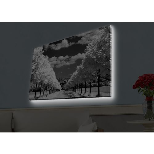 Wallity Slika dekorativna platno sa LED rasvjetom, 4570HDACT-029 slika 1