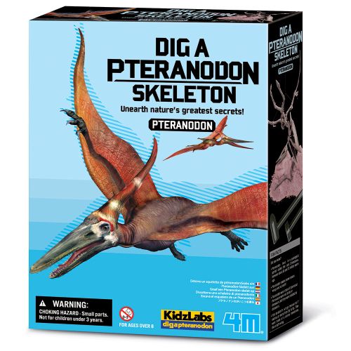 Dinosaur Pteranodon  slika 1