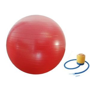 Lopta Za Pilates Ø 55 Cm