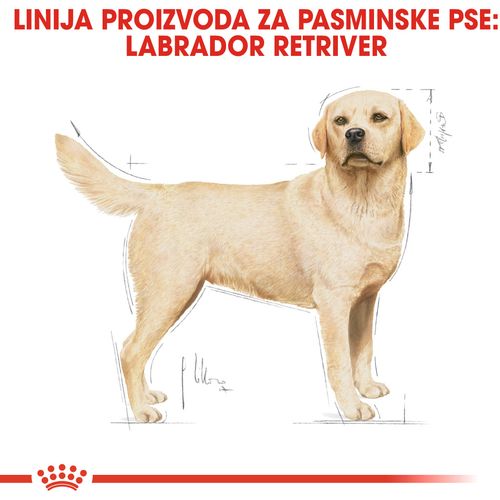 ROYAL CANIN BHN Labrador Retriever Adult, potpuna hrana za odrasle labrador retrievere stariji od 15 mjeseci, 12 kg slika 4