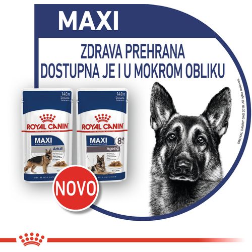 ROYAL CANIN SHN Maxi adult vrećice za pse, potpuna hrana za odrasle pse velikih pasmina (od 26 do 44 kg, od 15 mjeseci do 8 godina starosti, 10x140g slika 2