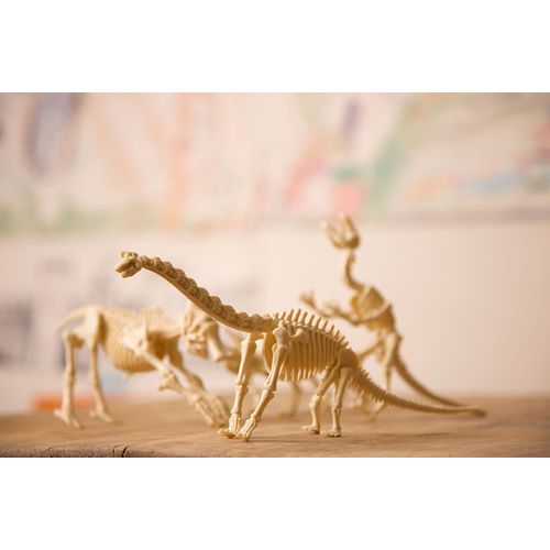 Dinosau Tiranosaur slika 4