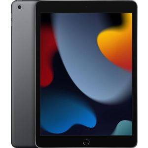 Apple iPad 9 10.2" Wi-Fi 64GB - Grey MK2K3LL/A