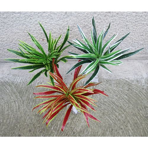 Veštačka biljka Dracena u tri boje 50 cm 205273 slika 1