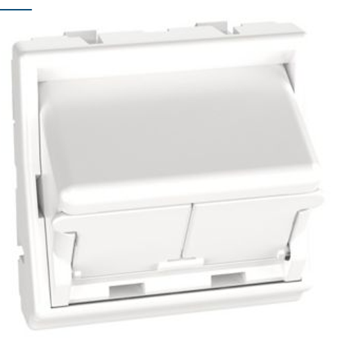 Mini-Com® adapter za prednju ploču, 2 priključka, Arctic White CFPFS2SAW slika 1