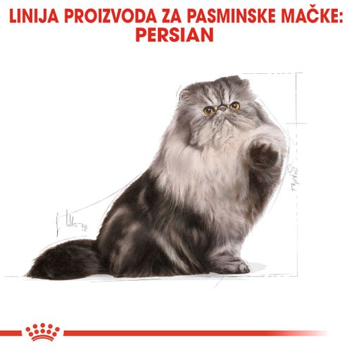 ROYAL CANIN FBN Persian, otpuna i uravnotežena hrana za mačke, specijalno za odrasle perzijske mačke starije od 12 mjeseci, 2 kg slika 5