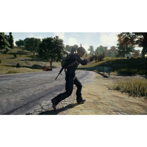 PlayerUnknown's Battlegrounds (PS4) slika 3