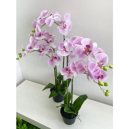 Orhideja u posudi, pink-80cm-tri grane slika 1
