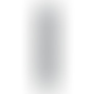 RealRock by Shots Slim Double Ended Dong 14 / 35,6 cm - crna