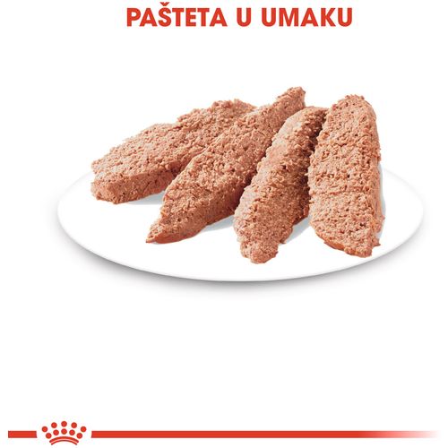 ROYAL CANIN FHN Instinctive Loaf, potpuna hrana u vrećici za  odrasle mačke, pašteta, 12x85 g slika 7