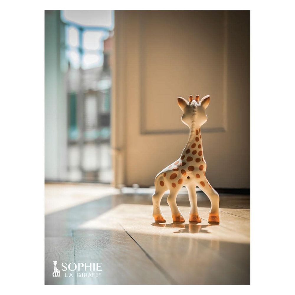 Sophie La Girafe Igračka/Glodalica Sophie žirafa slika 5