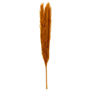 Atmosphera ukrasna grana pampas 110cm 3/1 sušeno bilje oker
