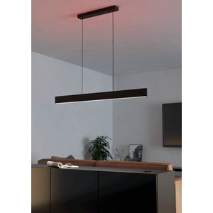 EGLO Viseća lampa ANDREAS-Z 900878