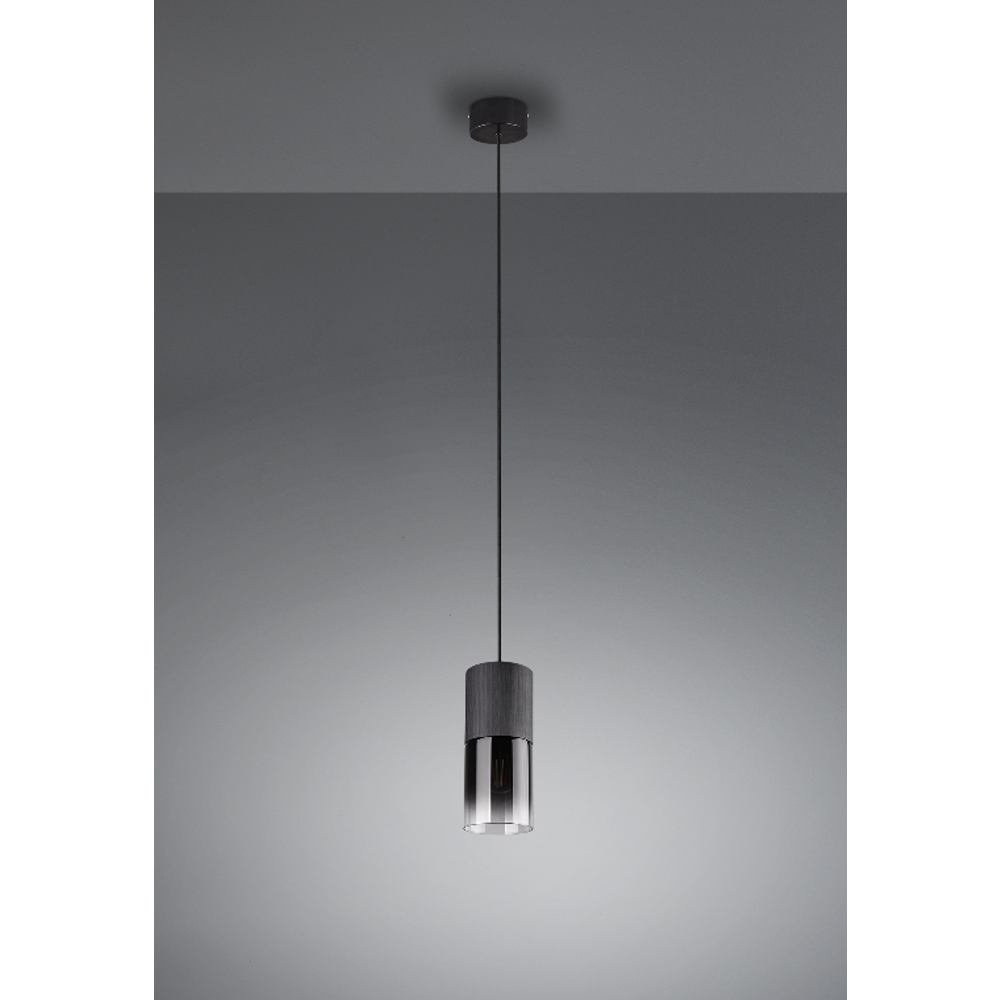 Trio Lightning visilica ROBIN crno mat, 1 x E27 slika 3