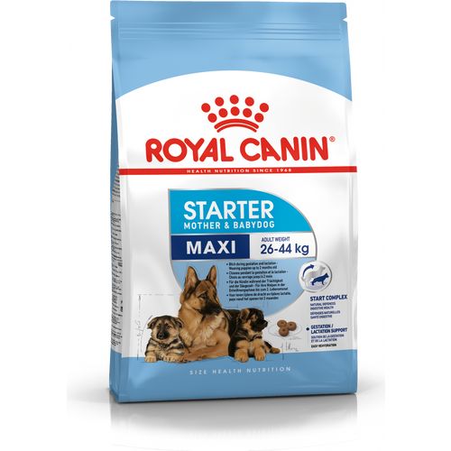 ROYAL CANIN SHN Maxi Starter, potpuna hrana za pse, specijalno za kuje  velikih pasmina (26-44 kg) i njihove štence, 15 kg slika 1