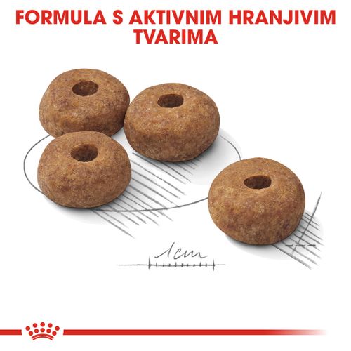 ROYAL CANIN CCN Medium Sterilised, potpuna hrana za pse - za kastrirane/sterilizirane odrasle pse srednje velikih pasmina (od 11 do 25 kg) - Stariji od 12 mjeseci - Psi skloni prekomjernoj tjelesnoj težini, 12 kg slika 9