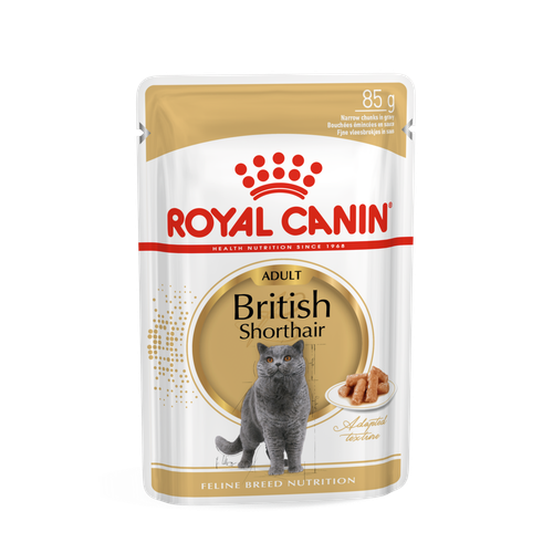 ROYAL CANIN FBN British Shorthair, potpuna i uravnotežena mokra hrana u umaku za odrasle mačke, specijalno za britanske krtkodlake mačke starije od 12 mjeseci, 12x85 g slika 1