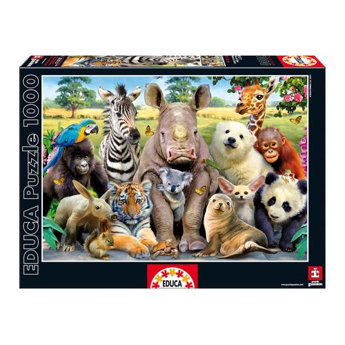 Puzzle Foto Clase 1000 komada slika 2