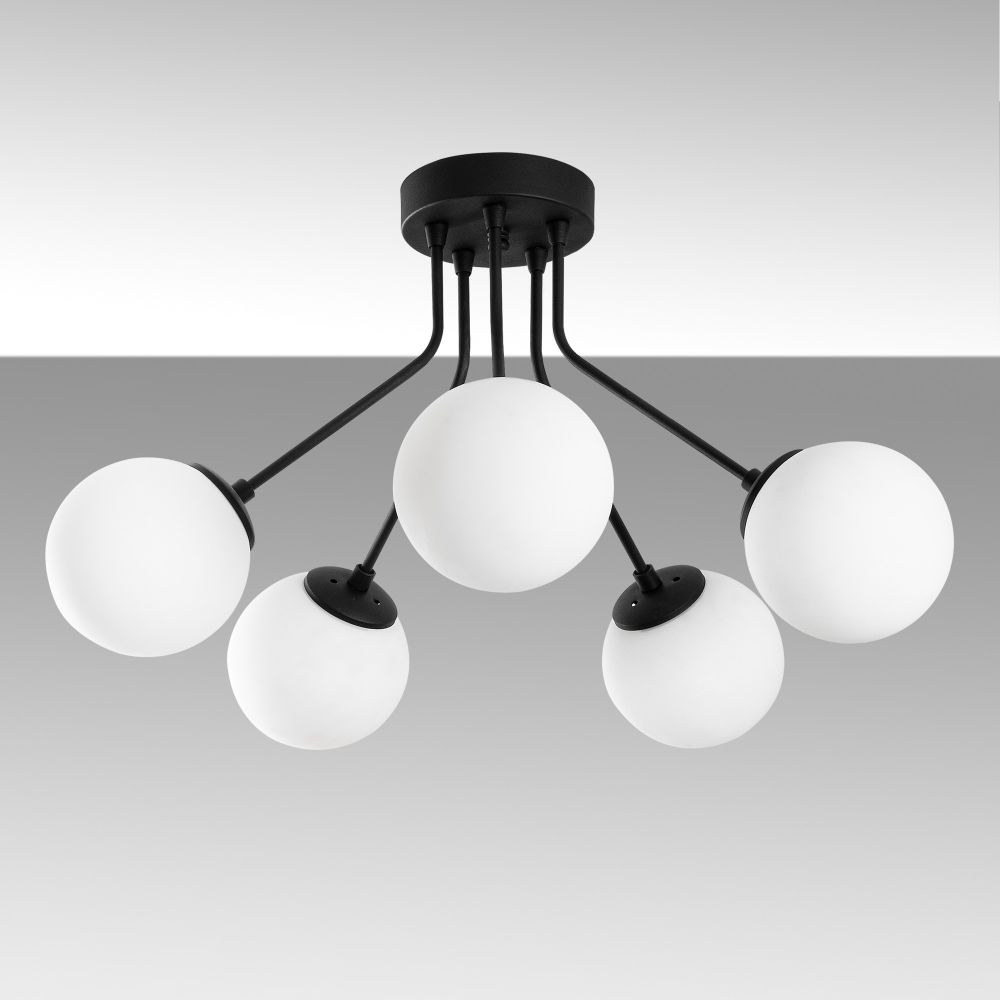 Orıon - Crni Luster 13960 slika 5