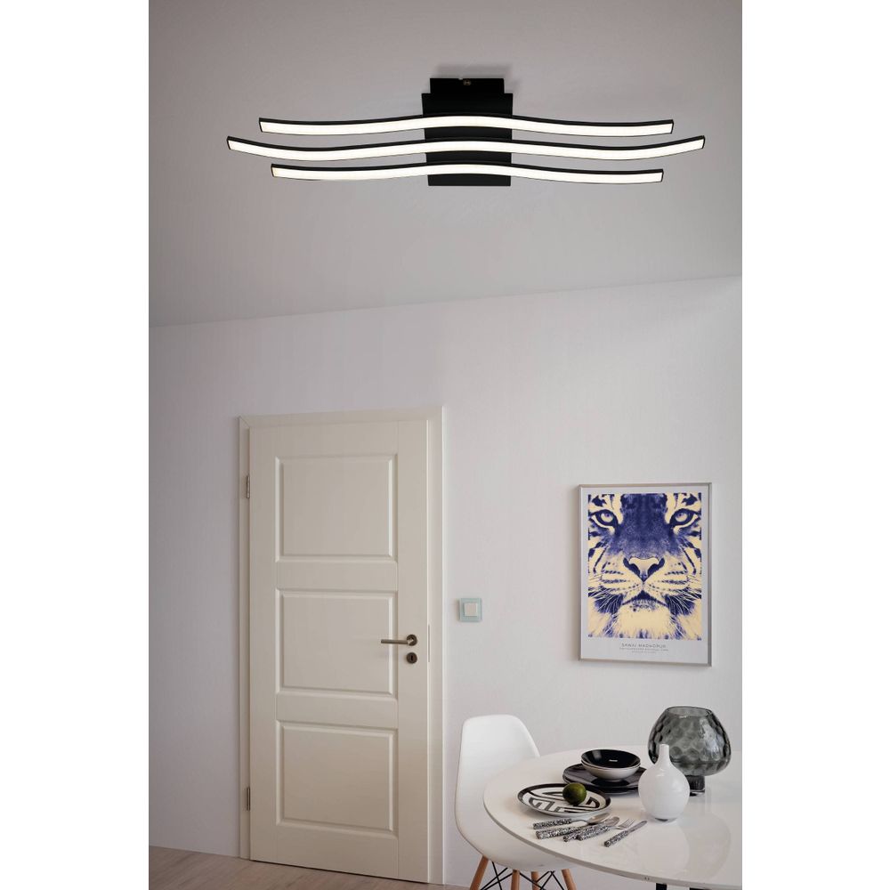 Eglo Roncade 1 Zidna/Stropna LED Lampa, 21W, D-650, Aluminijum/Crno-Bijela slika 8